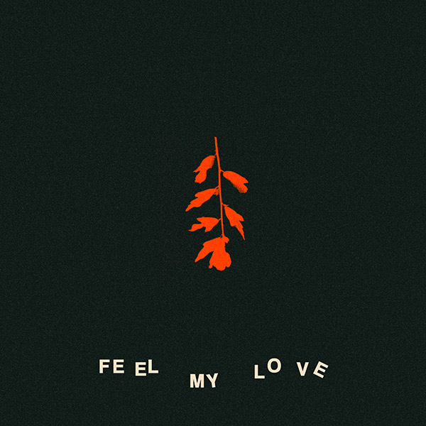 Feel My Love cover
